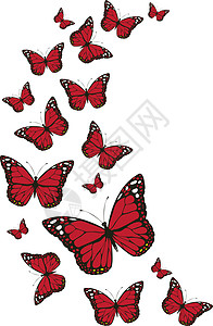 矢量微软蝴蝶绘画墙纸打印季节插图纺织品织物包装昆虫风格背景图片