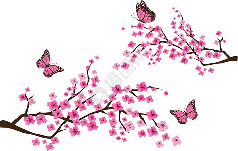 矢量樱花插图季节花园白色花朵植物艺术花瓣粉色背景图片