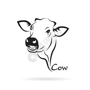 牛头黑白素材白色背景下牛头设计的矢量 农场动物插画