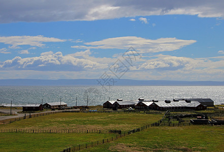 Temaukel市Cameron村中心附近的农场智利背景图片