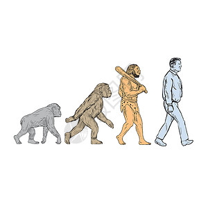 尼安德塔人人类进化漫步绘图画线刮板男性手绘灵长类男人草图能人墨水艺术品插画