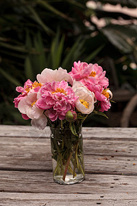 白花和粉红小马花浪漫白牡丹花束牡丹花粉色花园牡丹粉红色背景图片