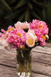 白花和粉红小马花浪漫粉色牡丹白牡丹花园粉红色牡丹花花束背景图片