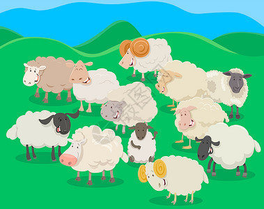 牧草羊群卡通它制作图案剪贴家畜团体微笑农场卡通片漫画农村场景绘画插画