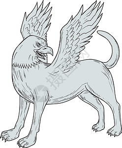 查伊索姆Chamrosh 侧画墨水手工神话画线刮板翅膀插图生物犬类艺术品插画