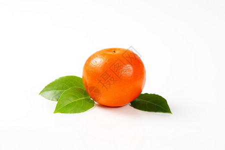 带叶子的果水果热带橘子食物柑桔树叶背景图片