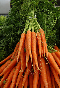 绿色顶端的清春胡萝卜销售橙子季节收成蔬菜零售农民树叶农业摊位背景图片