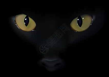 素材猫脸黑猫眼插画