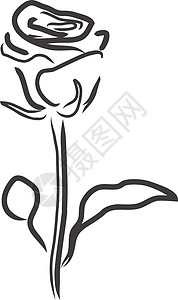 矢量玫瑰剪影艺术叶子插图绘画框架白色植物草图黑色背景图片
