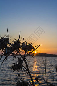 希腊梅西尼亚吉亚洛瓦环礁湖日落背景图片