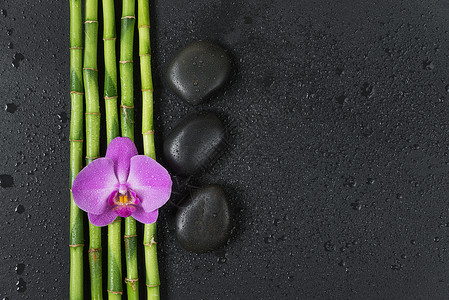 石块 兰花和竹子的斯帕概念绿色粉色温泉禅意热带风水黑色生长石头紫色背景图片