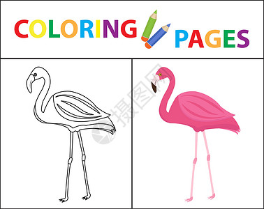 火烈鸟剪贴画着色书页 火烈鸟 素描轮廓和颜色版本 为孩子们着色 子女教育 矢量图设计图片
