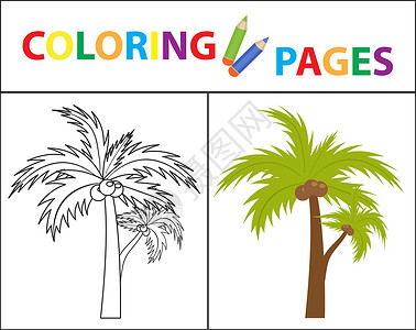 棕榈剪贴画着色书页 棕榈 素描轮廓和颜色版本 为孩子们着色 子女教育 矢量图设计图片