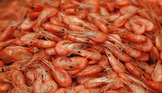新煮的粉红小虾特写磷虾摊位贝类市场烹饪零售橙子食物小吃展示背景图片
