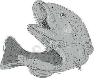 割喉群岛Cutthroat 特鲁特跳跃绘图手绘鳟鱼绘画插画