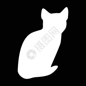家猫猫集合矢量 silhouett草图跳跃动物黑色朋友宠物冒充绘画小猫团体设计图片