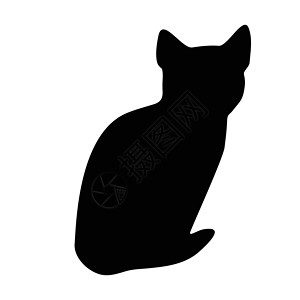 黑色的猫猫集合矢量 silhouett黑色宠物团体阴影跳跃艺术朋友夹子卡通片草图设计图片