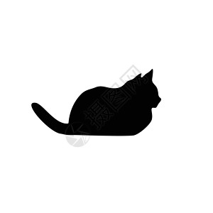 跳跃猫猫集合矢量 silhouett阴影黑色动物宠物尾巴猫科动物插图朋友草图跳跃设计图片