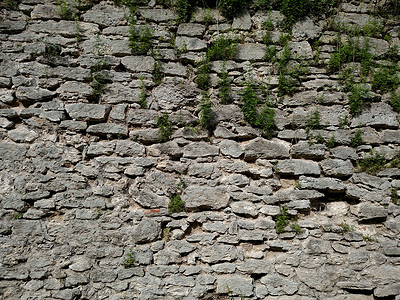 杜布诺市堡垒的草墙 在一个夏日背景图片