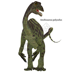 Jurassic 极地龙恐龙蜥脚类杂食性灭绝爬虫脊椎动物侏罗纪古艺术插图生物蜥蜴背景图片