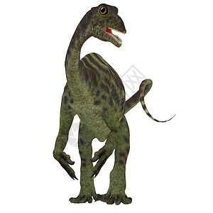 Jurassic 极地龙恐龙脊椎动物生物侏罗纪插图蜥蜴3d爬虫动物蜥脚类古艺术背景图片