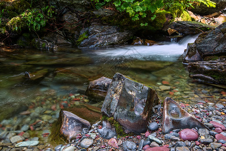 荷兰溪树木淡水孤独鹅卵石苔藓岩石公园风景急流荒野背景图片