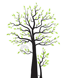 树形图有树叶的树木生命黑色白色花园森林插图景观植物橡木树形插画