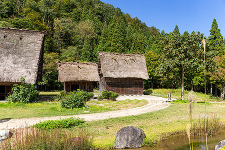 白茅草日本老乡白川越背景