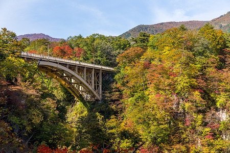 秋季秋天的奥菲卡泽巴希桥高清图片