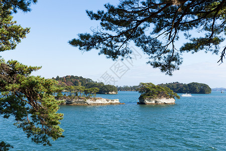 松树岛松岛湾的风景背景