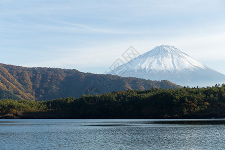 皮搋子Saaiko湖和Fuji山本栖农场爬坡反射天空旅行蓝色风景场景游客背景