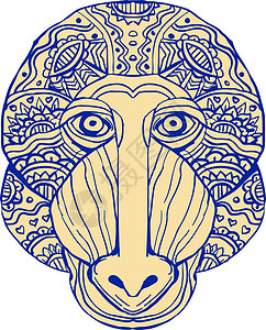 曼德拉阵线Mandala灵长类山魈动物绘画猿猴手绘野生动物背景图片