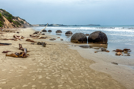 布兰博拉基Moeraki 博板球形地标浅滩海滩冲浪沿海地质学岩石低潮海岸线背景