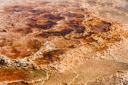 哺乳虫炎热泉荒野地热石灰华气氛国家吸引力地球长毛格式地质学背景图片