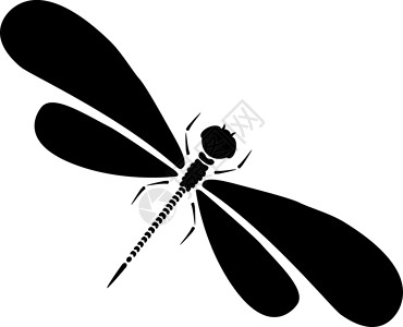 佩豆娘矢量蜻蜓剪影 用黑白翅膀隔离的豆娘的卡通图形插图 素描昆虫蜻蜓卡通片雕刻野生动物动物群涂鸦打印草图漏洞卡片荒野插画