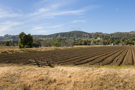 加利福尼亚Camarillo农场田地背景图片