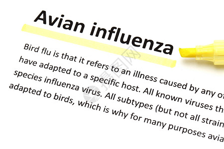 禽流感英语词典手段(英文)背景图片