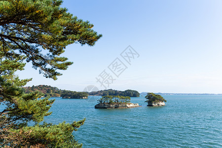 松岛天空游客阳光场景海岸蓝色旅行森林旅游植物背景图片