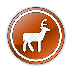 图标 按钮 方形Deer驼鹿赤道野生动物指示牌驯鹿树木红鹿猎人栖息地贴纸背景图片