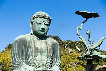 在卡马库拉Kotokuin寺庙的大地上 大佛图片