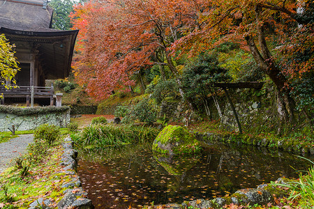 计策秋天美丽的日本公园背景