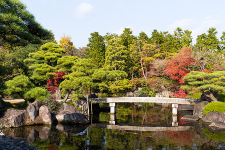 冰地城的Kokoen花园花园园艺叶子建筑学红叶池塘古园公园环境旅游河高清图片素材