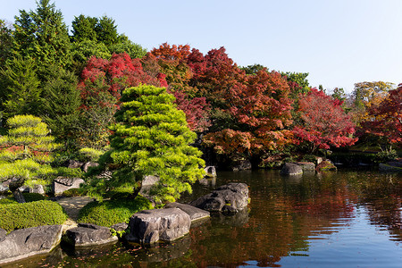 秋天的日本花园池塘旅游寺庙古园旅行岩石文化植物季节小路图片