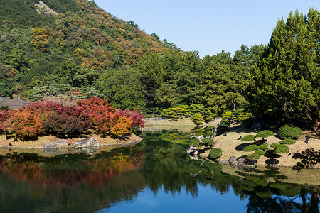 秋天的里瓜林花园公园池塘花园植物历史城市板栗绿色农村背景图片