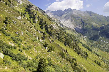 斯皮茨霍恩瑞士阿尔卑斯山地标山脉目的地风景乡村草地松树山峰旅游娱乐背景