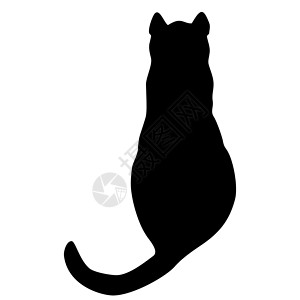 黑色猫咪剪影猫集合剪影插图猫咪猫科动物绘画卡通片跳跃小猫朋友哺乳动物草图背景