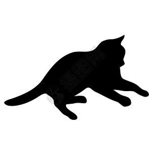 黑色猫咪剪影猫集合剪影团体插图夹子黑色尾巴哺乳动物阴影猫科动物朋友艺术背景