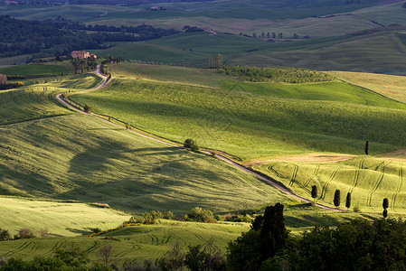 Val dOrcia 托斯卡纳的角斗场格式旅行爬坡叶子场地农场建筑物植物农田风景背景图片