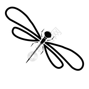 卡通蜻蜓蜻蜓剪影 用黑白翅膀隔离的豆娘的卡通图形插图 素描昆虫蜻蜓航班荒野野生动物雕刻打印创造力涂鸦卡通片墨水动物群背景