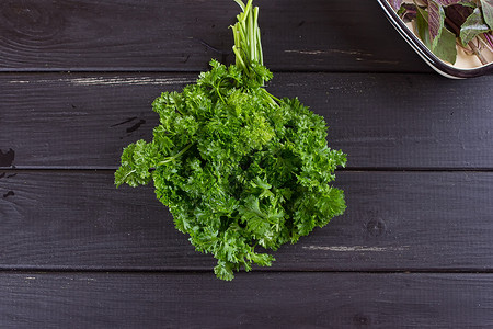 黑色背景的正新蓝宝石绿色美食龙蒿花园叶子烹饪药品草本植物收获芳香百里香背景图片